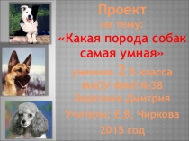 Проект ученика 2 класса на тему Какая порода собак самая умная.