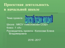 Проект Здравствуй, праздник новогодний (1 класс)