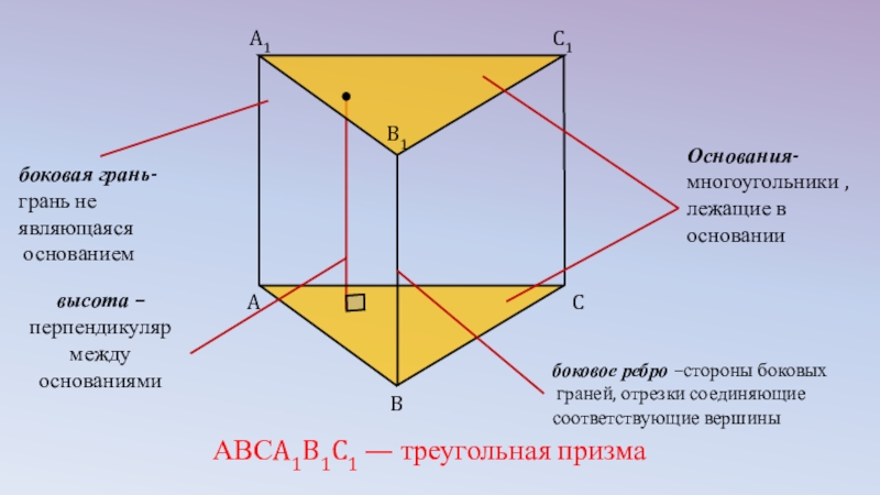 Боковая оснований. Правильная треугольная Призма смежные грани. Грани правильной треугольной Призмы. Правильная треугольная Призма боковые грани. Элементы треугольной Призмы.