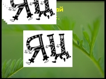 Презентация по русскому языку. Словарные слова по теме заяц