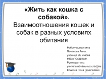 Исследовательская работа на тему Жить как кошка с собакой