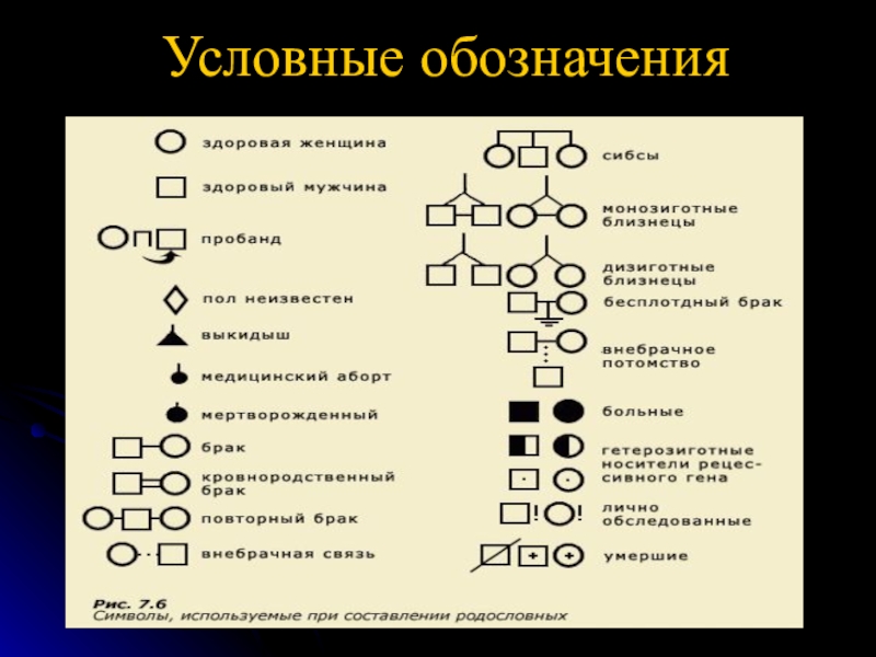 Родословная биология. Условные обозначения родословной. Генеалогическое Древо обозначения. Родословная символы. Составление родословной биология.