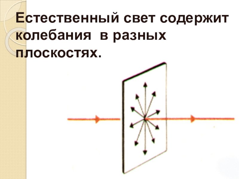 Проекционная картина поляризованного света