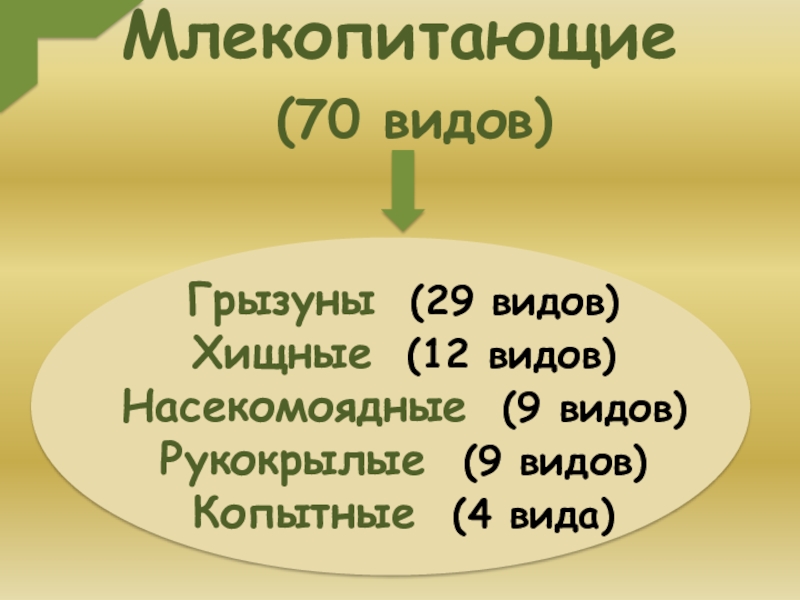 Презентация млекопитающие ростовской области