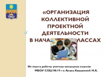 Презентация по теме Организация коллективной проектной деятельности