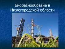 Биоразнообразие Нижегородской области