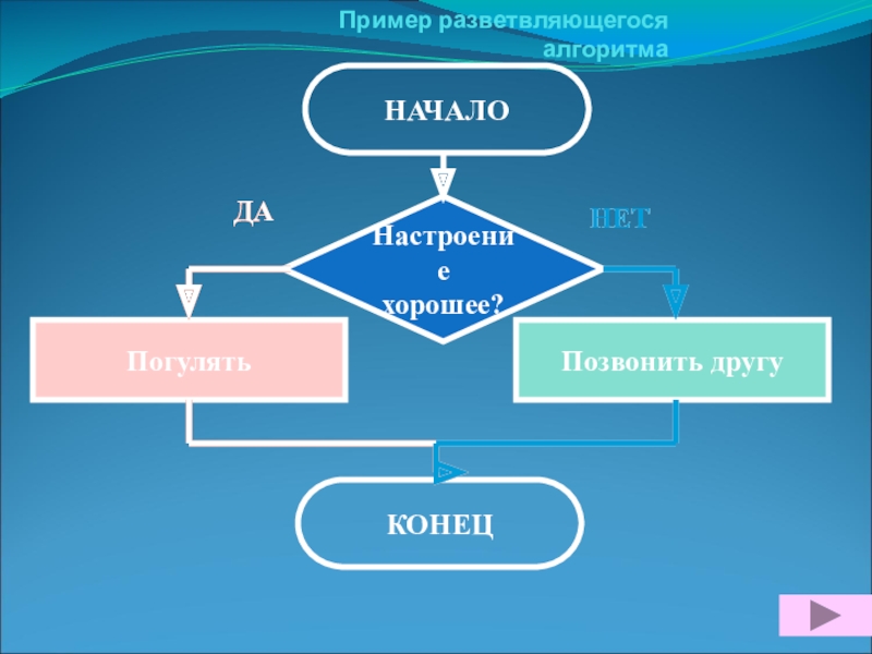 Разветвляющийся алгоритм фото