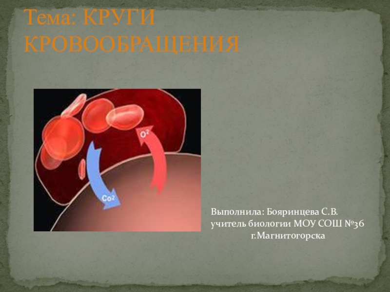 Презентация по теме круги кровообращения 8 класс