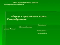 Беркут - представитель отряда Соколообразные
