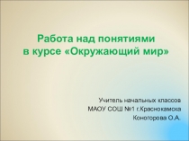Презентация Работа над понятиями в курсе окружающий мир
