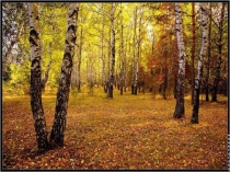 Презентация к проекту Красная книга