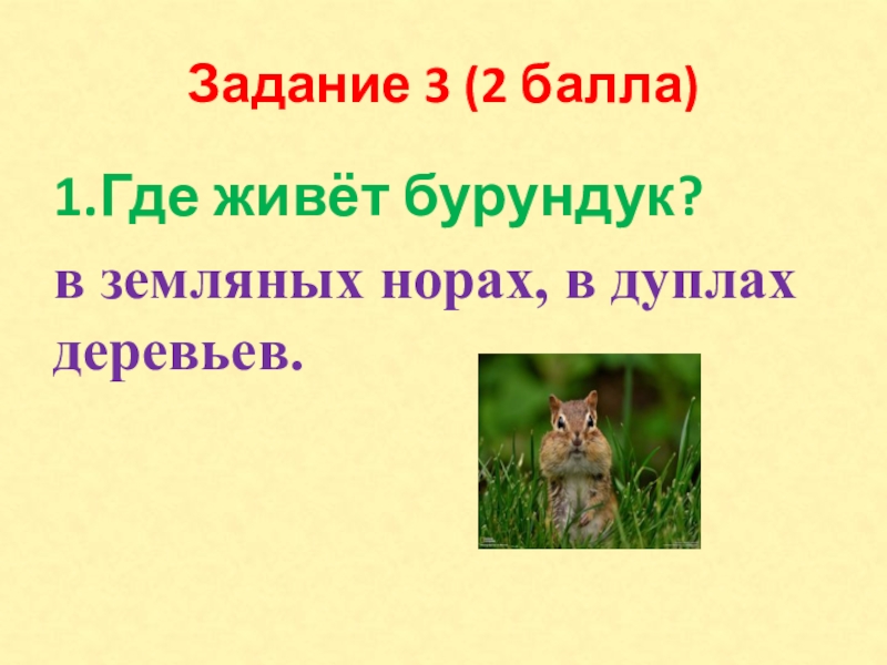 Задание 3 (2 балла)1.Где живёт бурундук?в земляных норах, в дуплах деревьев.