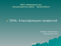 Презентация по технологии на тему Классификация профессий (9 класс)