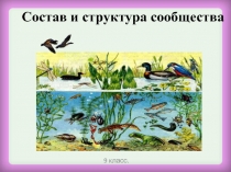 Презентация по биологии на тему Структура сообщества (9 класс)