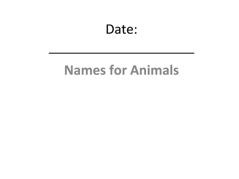 Date: ____________________Names for Animals