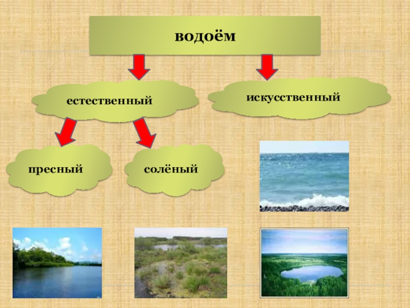 Какие бывают водоемы 2 класс окружающий мир 21 век презентация