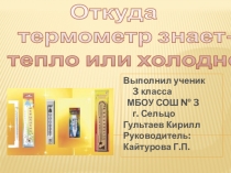 Презентация проекта по окружающему миру Откуда термометр знает тепло или холодно