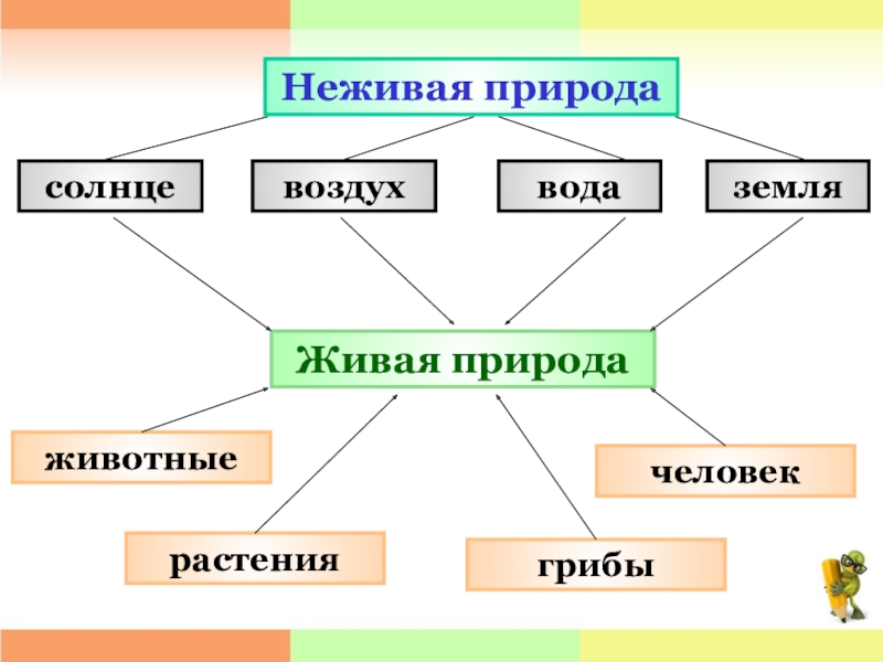 Конспект урока и презентация по окружающему миру