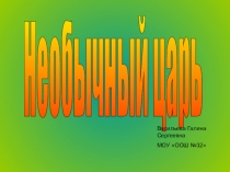 Презентация по окружающему миру на тему: Необычный царь - Пётр 1(4 класс)