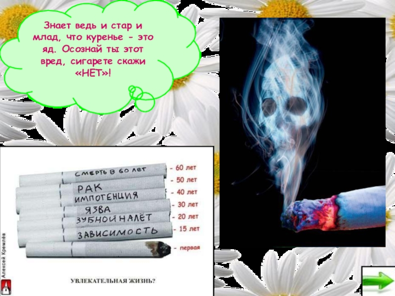 эту песню слышали и стар и млад. фраза и стар и млад. стар и млад соседский клуб. стар и млад. стар и млад.