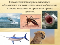 Самые-самые интересные животные