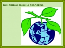Презентация Основные законы экологии