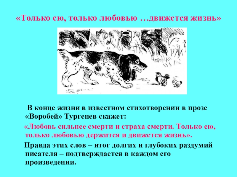 Только любовью держится и движется жизнь. Стихотворение в прозе Тургенева Воробей. План к рассказу Воробей Тургенева. Воробей Тургенев стих в прозе. Тема стихотворения Воробей Тургенева.