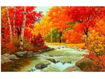 Без диктант яздык тексты