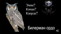 Билерман Ордо математика боюнча класстан тышкаркы иш
