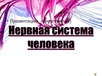 ;Нервная Система Человека;Эта призентация включает в себя очень много всего о неврной системе человека
