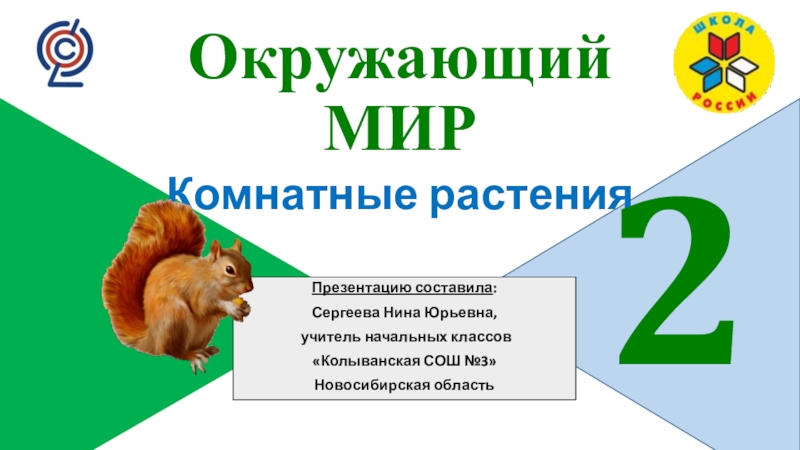 Презентация Презентация по окружающему миру на тему Комнатные растения ( 2 класс УМК Школа России)