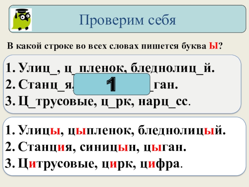 И ы после ц 5 класс презентация