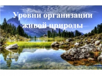 Презентация по биологии на тему Уровни организации живой природы.
