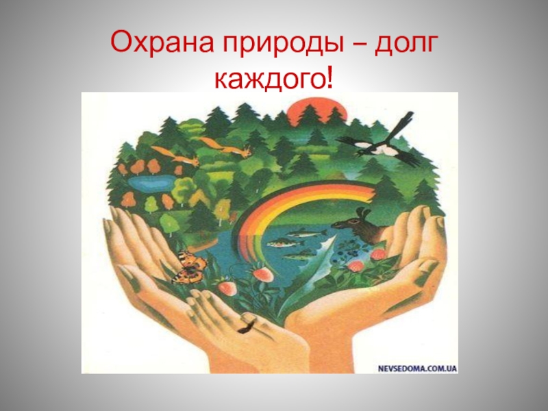 Проект отдам. Охрана природы долг. Охрана природы долг каждого человека. Сохранение природы долг каждого. Проект защита природы.