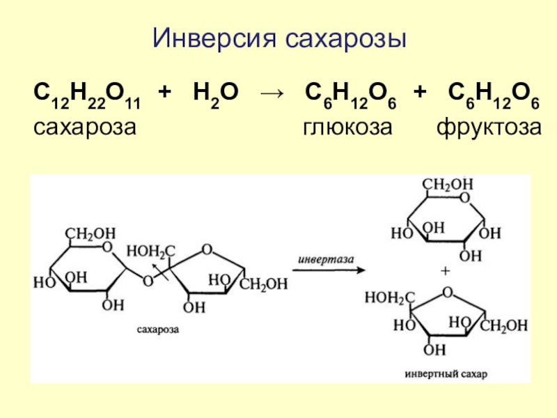 Сахароза плюс гидроксид меди 2. Сахароза cu Oh 2. Качественная реакция на сахарозу. Инверсия сахарозы реакция.
