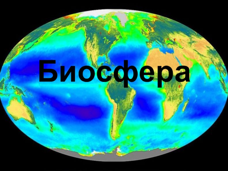 Презентация Презентация по экологии на тему Биосфера