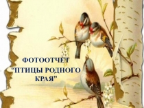 Фотоотчет Птицы родного края