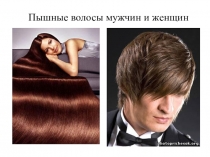 Презентация по биологии на темуЗакономерности наследования, установленные Г.Менделем и Т.Морганом