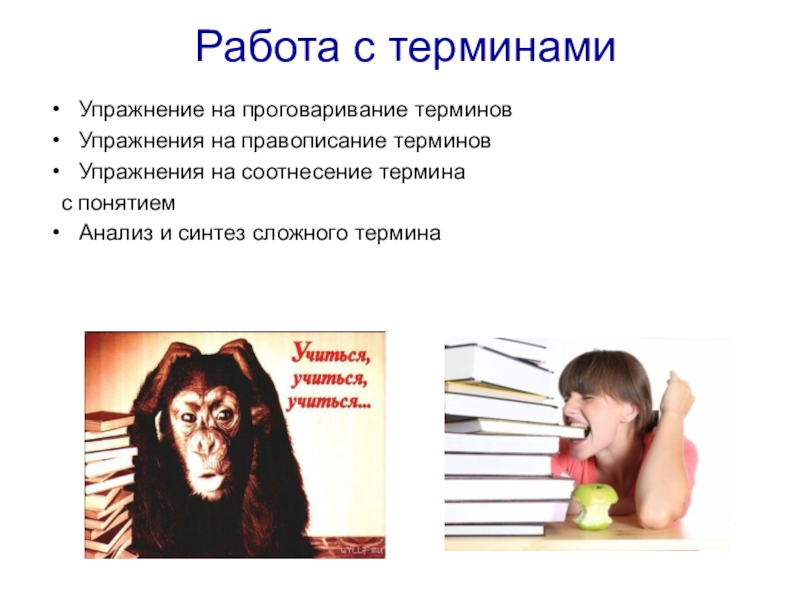 Работа с терминами. Работа с терминами на уроках. Терминология о работе. Работа с терминами на уроках биологии.