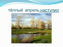 Предложения из группы слов