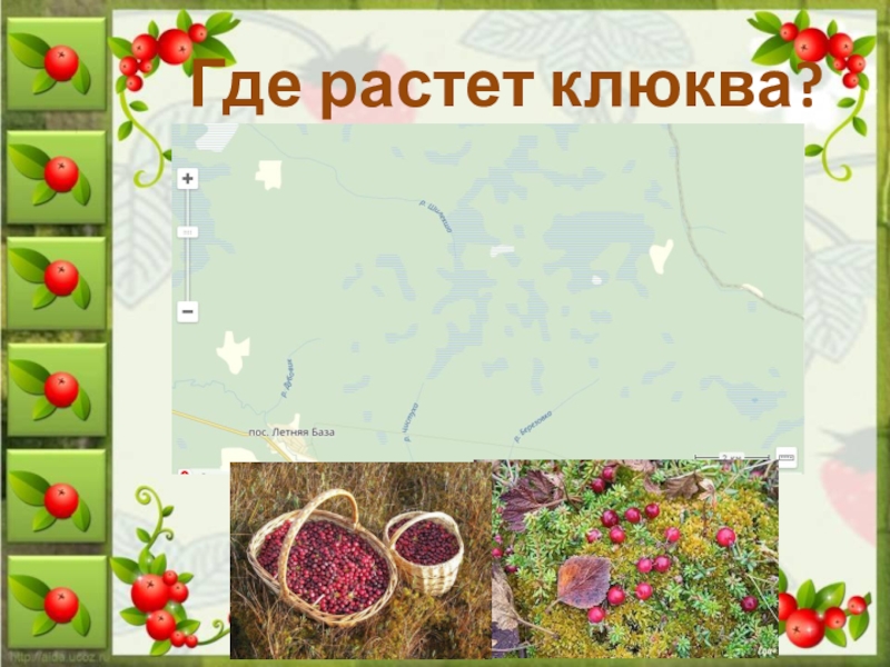 Виртуальная карта клюква