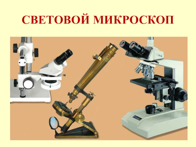 Микроскоп световой 5 класс