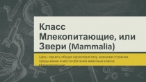 Презентация по биологии на тему Класс Млекопитающие