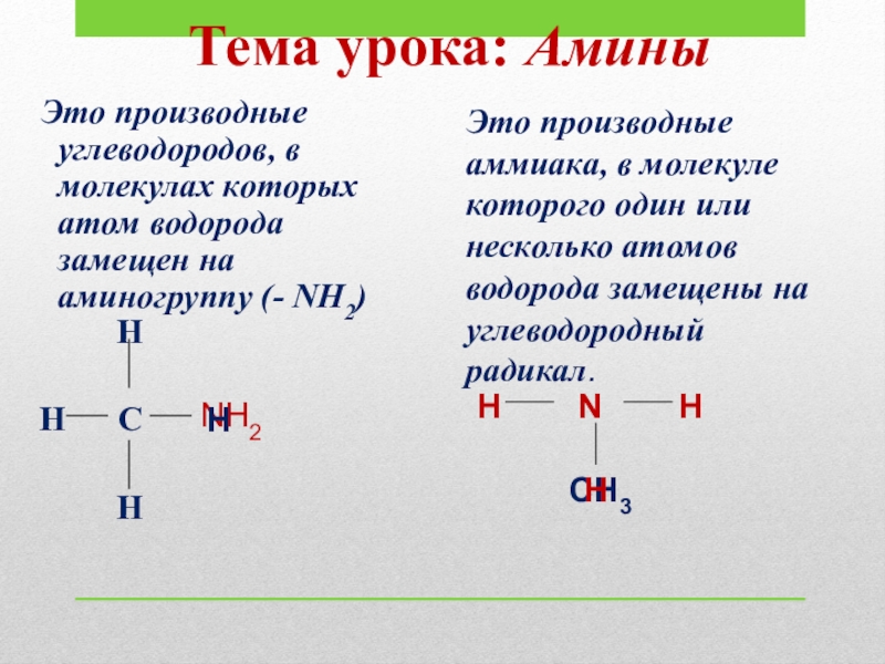 Презентация по теме амины 10 класс