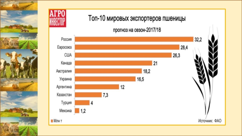 Страны экспортеры растениеводства. География сельского хозяйства. Главные экспортеры и импортеры пшеницы. География 8 класс сельское хозяйство. Лидеры по сельскому хозяйству в мире.