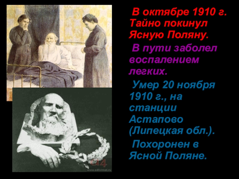 Год смерти толстого льва. Толстой похоронен в Ясной Поляне. Лев Николаевич толстой могила в Ясной Поляне. Лев Николаевич толстой смерть.