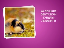 Презентация по окружающему миру на тему Обитатели тундры. Лемминги. (4 класс).