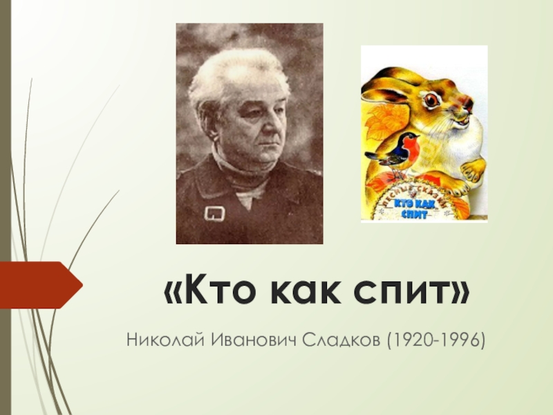 Презентация по литературному чтению на тему Кто как спит Николай Сладков 1 класс