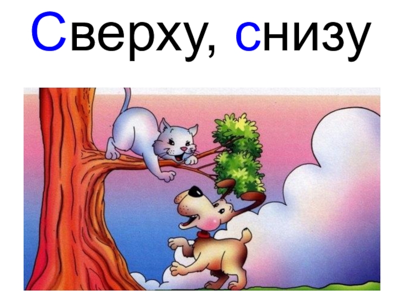 Рисунок сверху и снизу