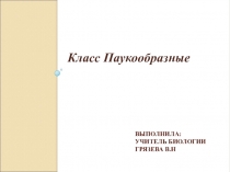 Презентация по биологии Класс Паукообразные (7 класс)